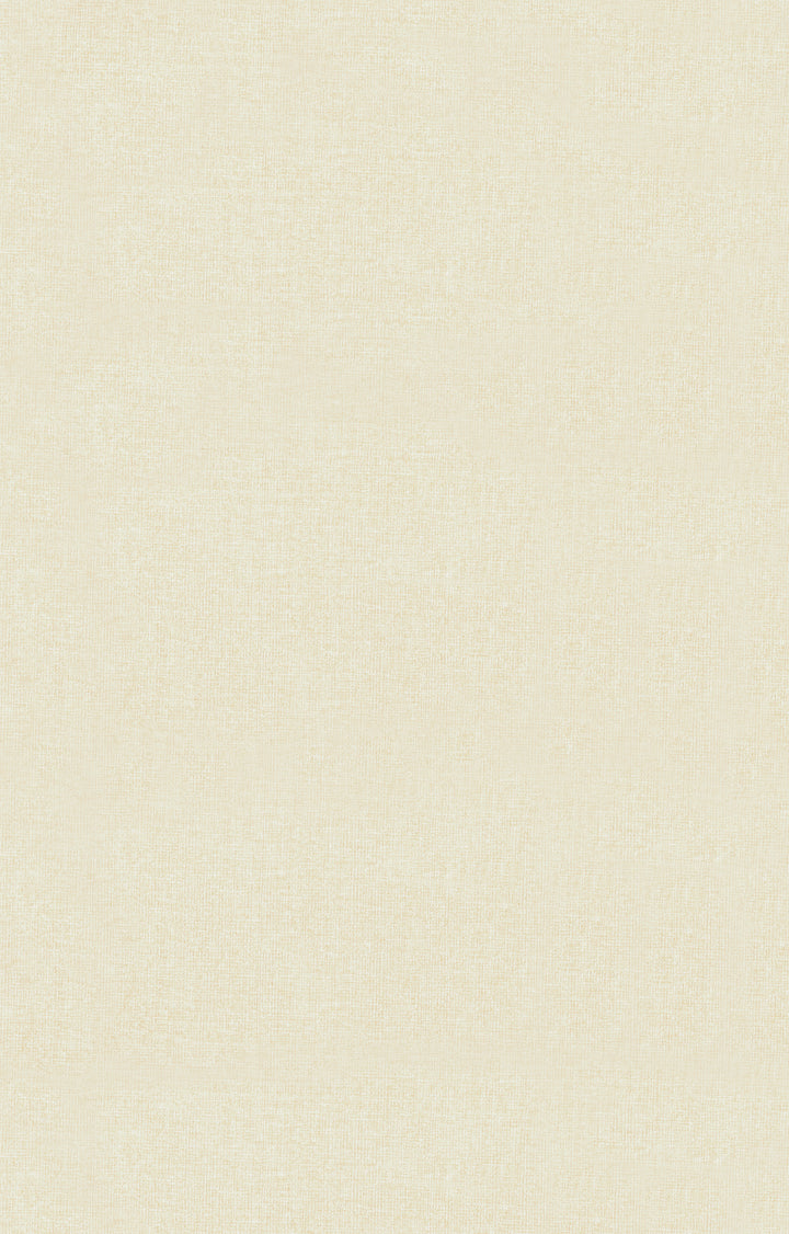 23739