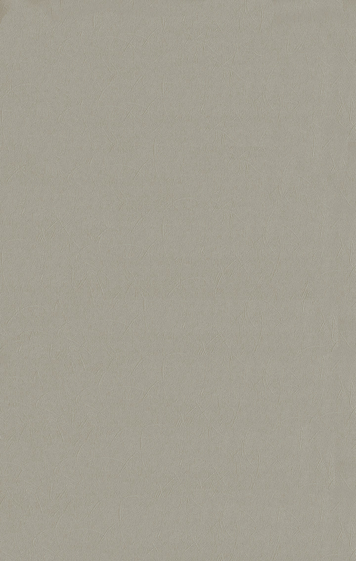 6117