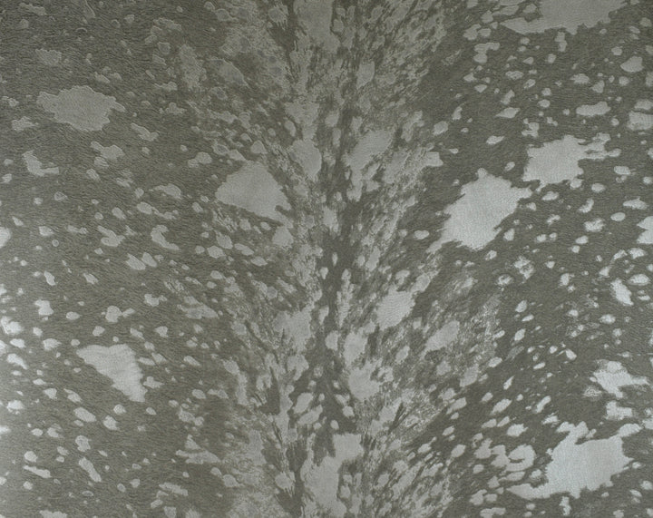SK100-20421