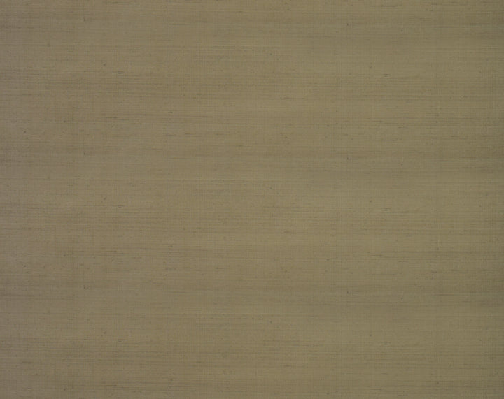 SK104-41082