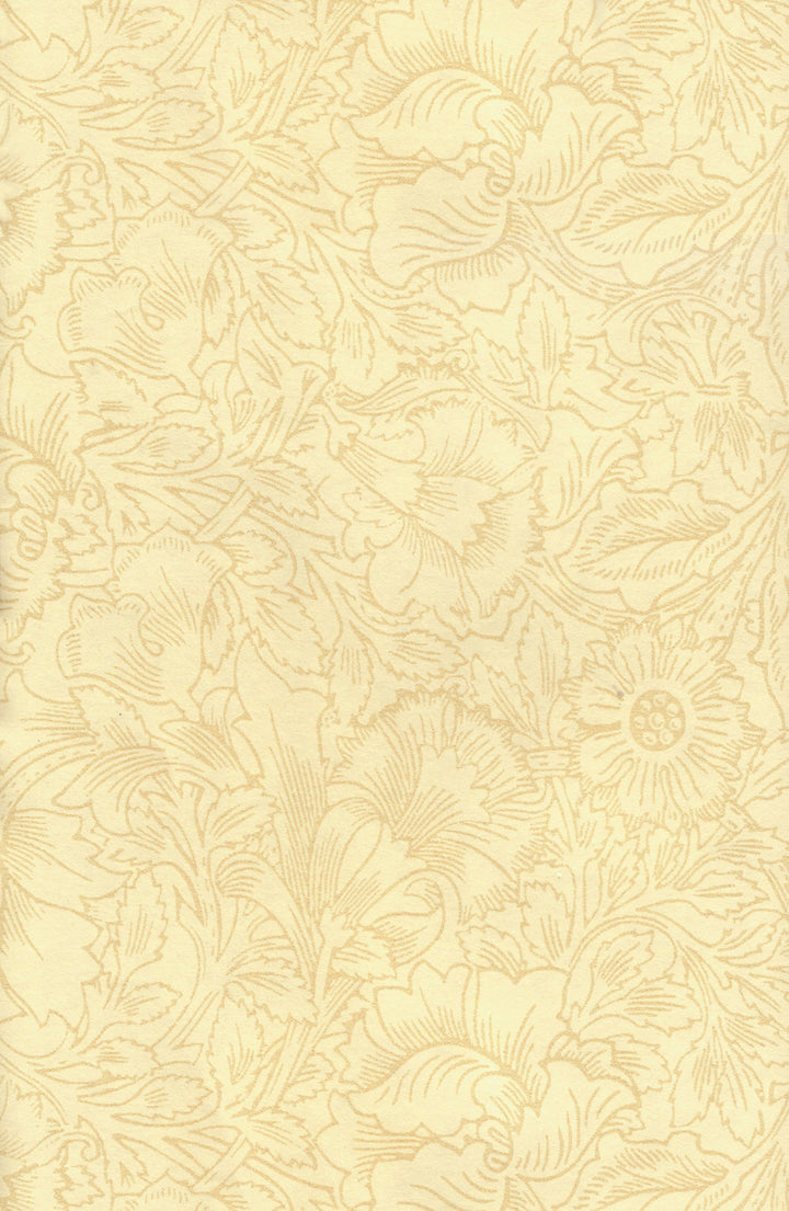 SK2818