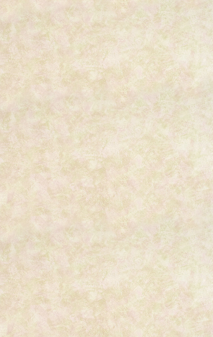 SKL66713