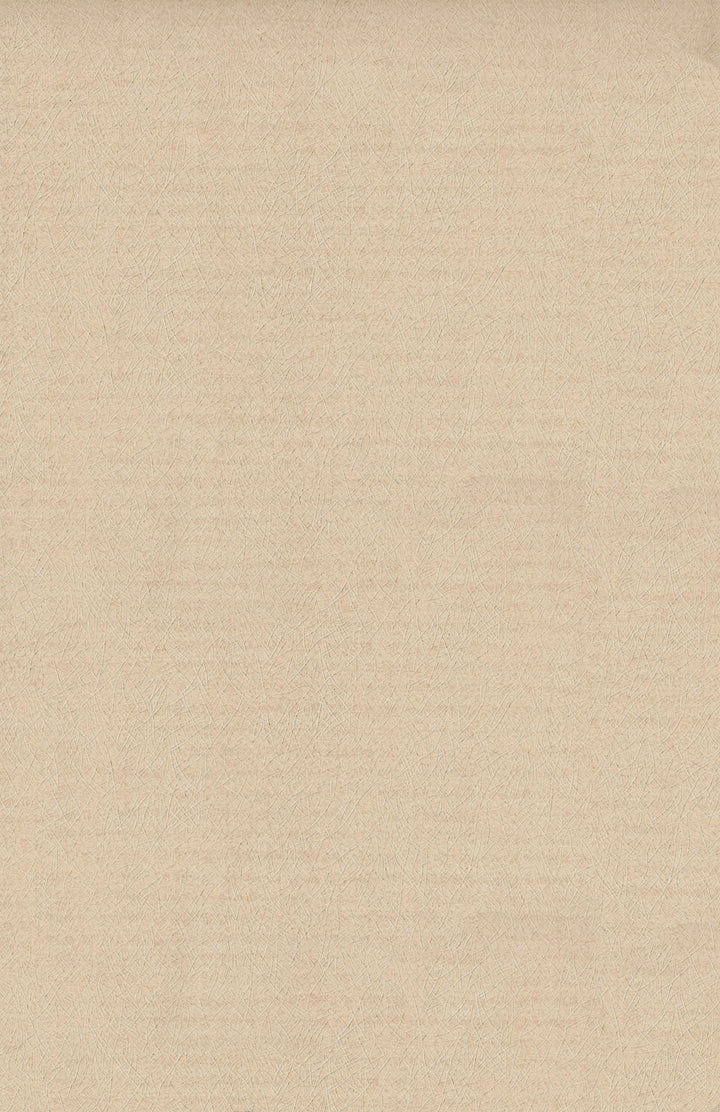 WE1219