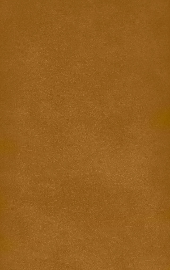 WE9317